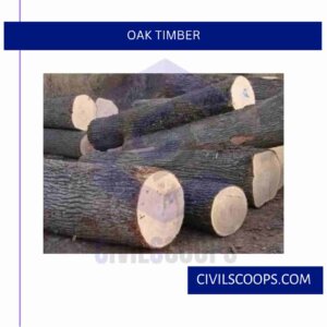 Oak Timber