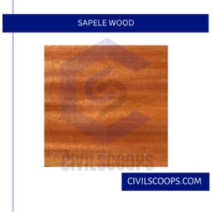 Sapele Wood