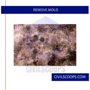 Remove Mold