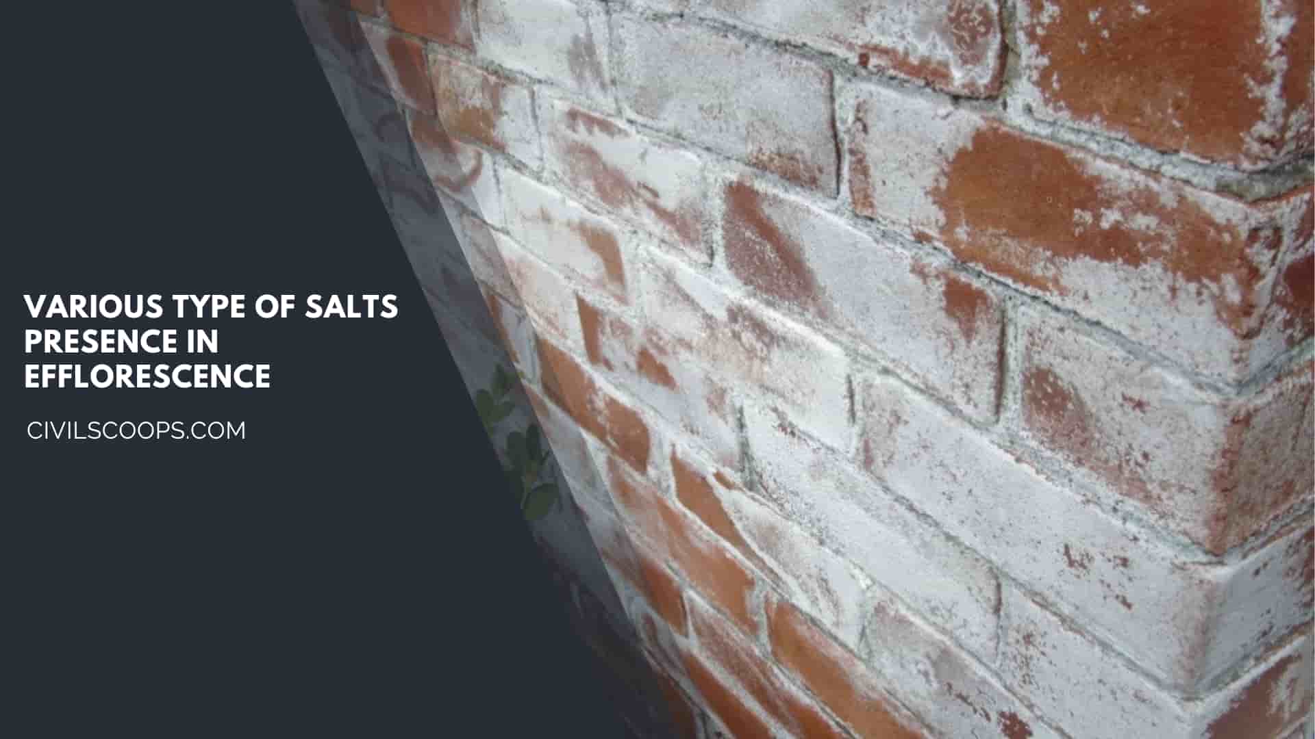 Various Type of Salts Presence in Efflorescence