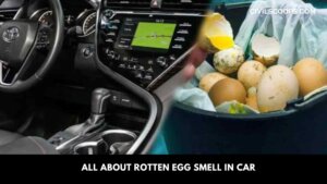 all about Rotten Egg Smell In Car