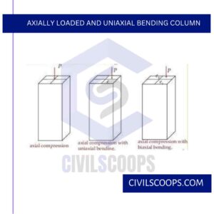 Axially Loaded and Uniaxial Bending Column