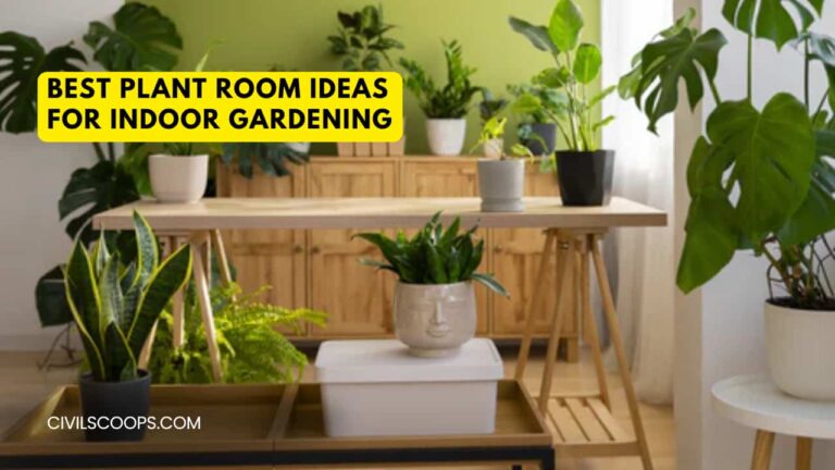 Best Plant Room Ideas for Indoor Gardening