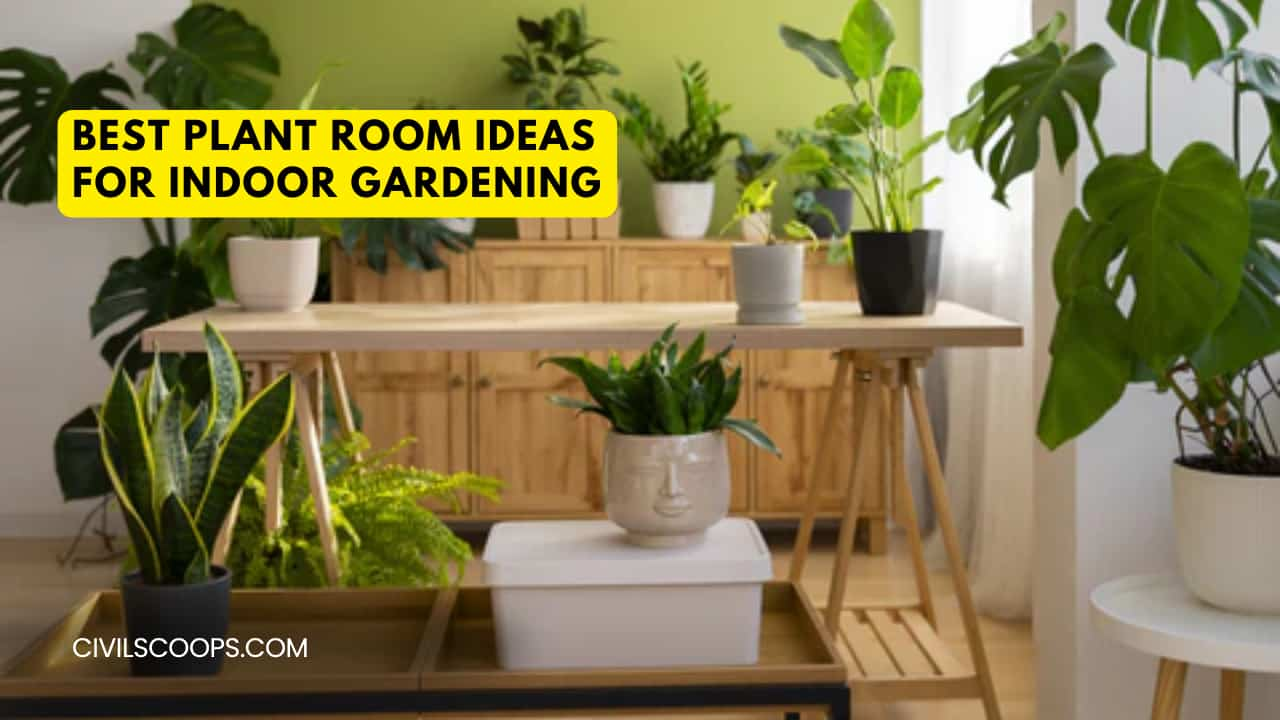 Best Plant Room Ideas for Indoor Gardening